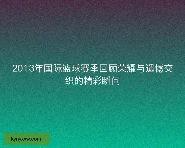 2013年国际篮球赛季回顾荣耀与遗憾交织的精彩瞬间